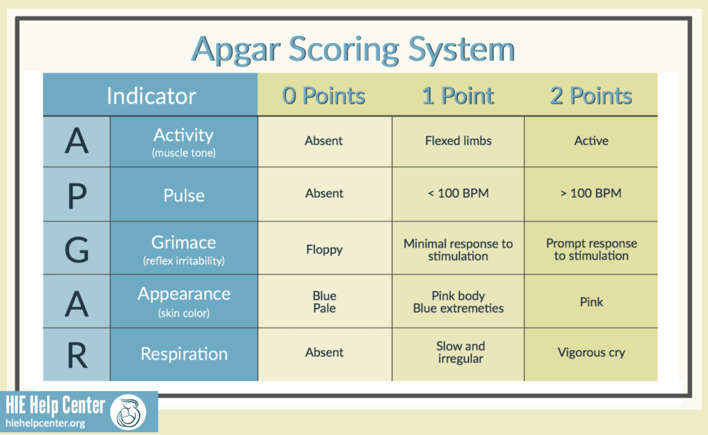 Apgar Score for Diagnosing Hypoxic-Ischemic Encephalopathy | HIE Help Center