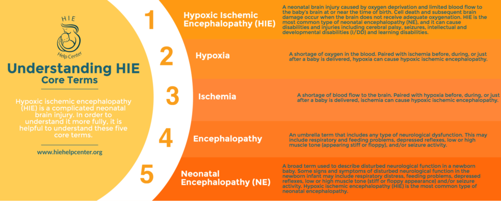 What Is Hypoxic-Ischemic Encephalopathy? HIE Help Center Infographic