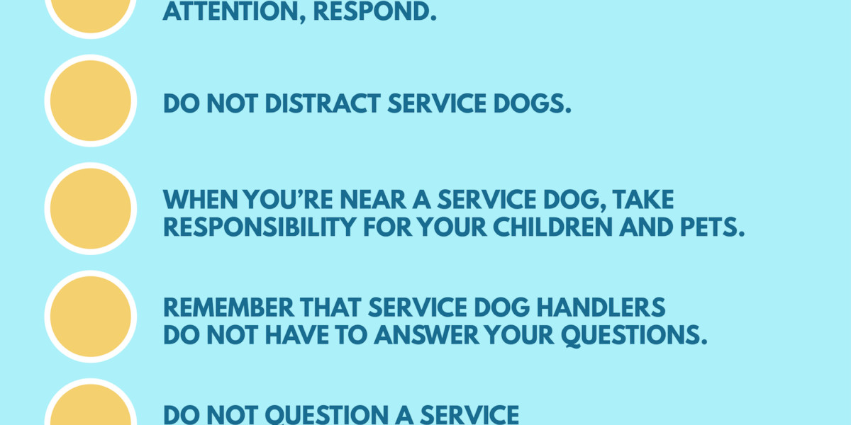 How to Behave Around Service Dogs