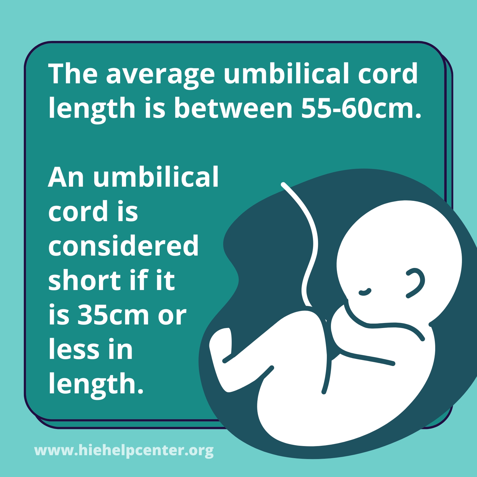 Umbilical Cord Problems HIE Help Center